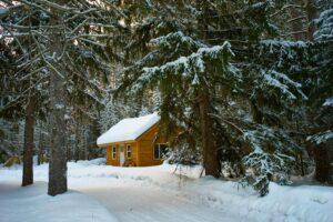 Fixing Hail Damage | What to Do When Insurance Won’t Cover Repairs
