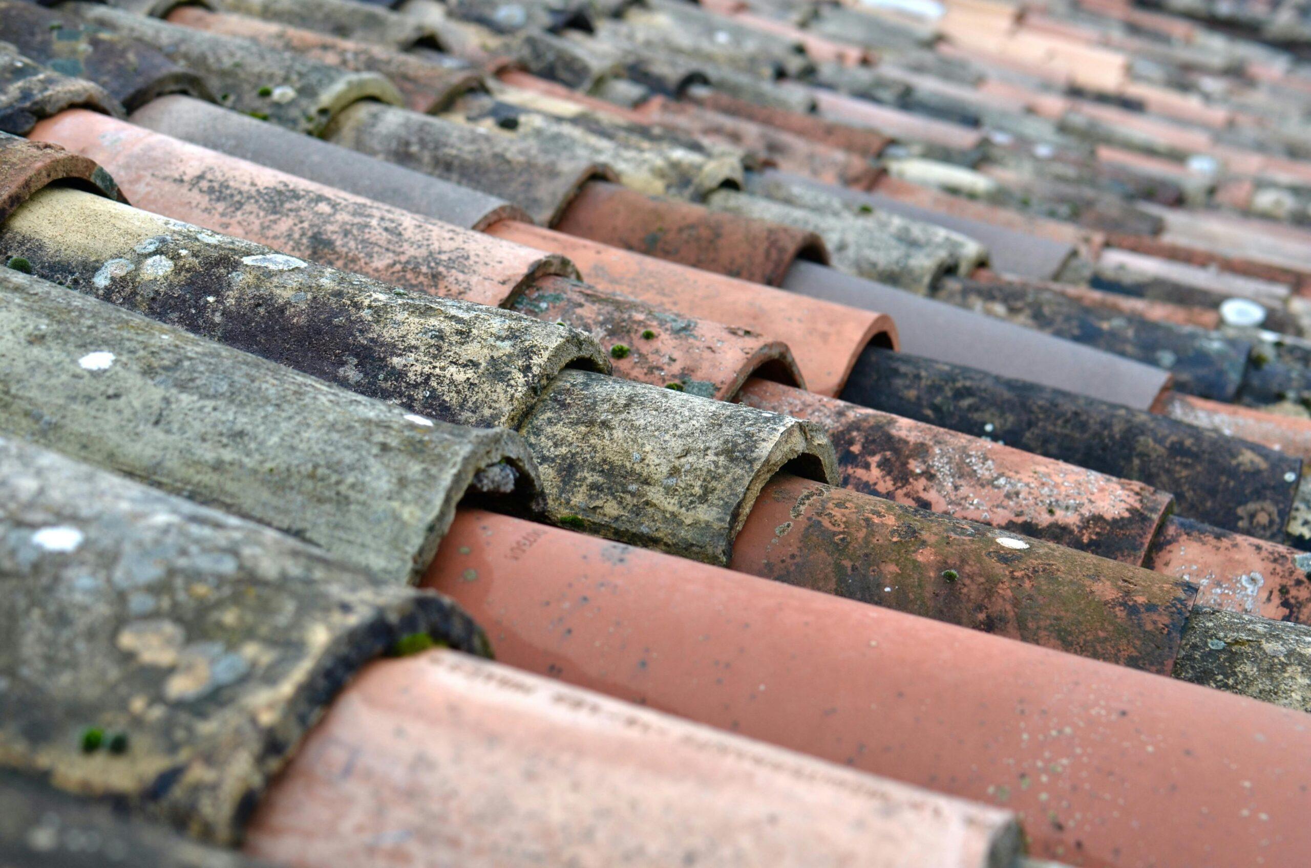 roof shingles